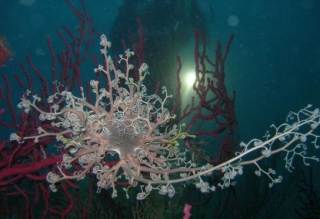 Descubre un mundo nuevo 